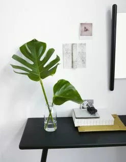 Skagerak Georg Konsolbord Svart Ek -Bord Försäljningsbutik 1930310 03