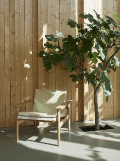 Skagerak Pelago Pute Til Loungestol Honninggul -Bord Försäljningsbutik 2022 02 07 15 17 36