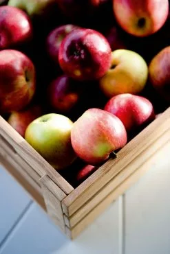 Skagerak Dania Eplekasse Teak 11 Skagerak Dania Eplekasse Teak -Bord Försäljningsbutik aeblekasse 02a