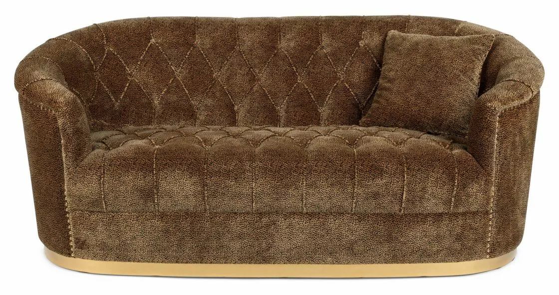 Bold Monkey Too Pretty To Sit On