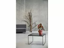 Villa Collection Sofabord Sort 60x60x40 Cm -Bord Försäljningsbutik g4a14541454